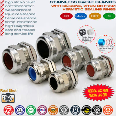 موصل غدة كيبل المقاومة للماء PG من الفولاذ المقاوم للصدأ SS304 / SS316 / SS316L (IP68) مع أختام مطاط الفلور